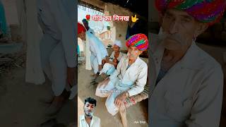 👌Culture of Rajasthan 😎 villagelife shorts youtubeshorts rajasthani viralvideo marwadi [upl. by Burtis169]