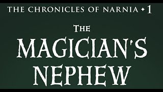 Narnia  The Magicians Nephew  Ch 3  The Wood Between the Worlds [upl. by Ennasirk]