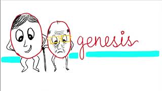 Oogenesis Maturation of oogonia to oocyte [upl. by Eleanor]