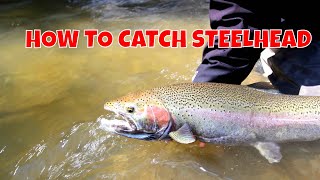 STEELHEAD ON A FLY  HOW TO [upl. by Knowland903]