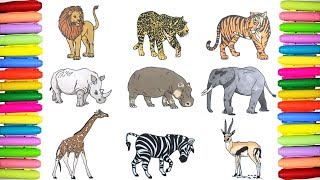 Wild Animals coloring pages [upl. by Bordy]