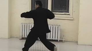 Xingyi Traditional Ba Shi八式 or 8Posture Routine [upl. by Anatnom]