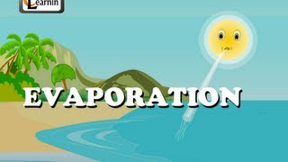 Evaporation  Elementary Science [upl. by Eelir]