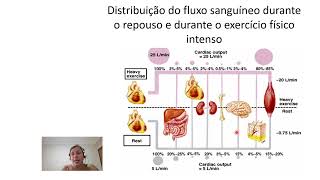 Sistema cardiovascular [upl. by Stephenie]