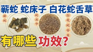 细数与“蛇”有关的中药 内服、外用功效强 20241011 巧用“蛇”药来治病  CCTV科教《健康之路》 [upl. by Llevert439]