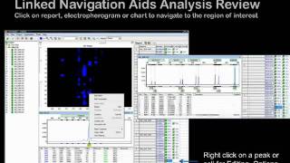 GeneMarker® Genotyping Software  Introductory Webinar [upl. by Luis]