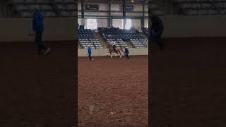 champions out of a class of 17 phenomenal riders what even is life 🥹saddlebred saddleseat [upl. by Safir]