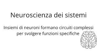 Introduzione alle Neuroscienze [upl. by Aserat]