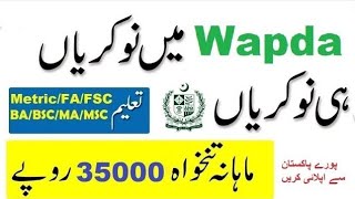 WAPDA Jobs 2024 – Download Application Form [upl. by Otanod]