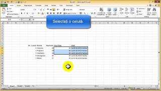 Tutorial Excel  Cum inserăm celule rânduri coloane [upl. by Constantino]