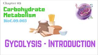 BioC09003Glycolysis 110 – Introduction  Dr Prashant Sharma [upl. by Cymbre]