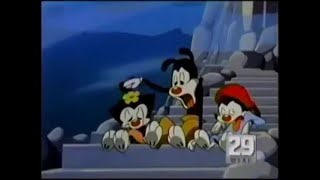 Animaniacs Promo Craving 1994 [upl. by Maure]