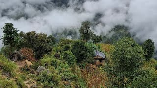 Beautiful Nepali Mountain Village Life  Daily Activities of HARI ROKAYA village People [upl. by Gilpin]