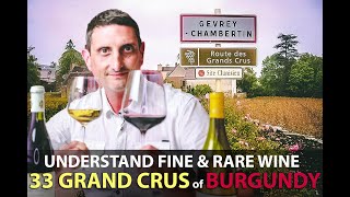 What makes the 33 Grand Crus of Burgundy Unique  Best Bourgogne Wines Explained [upl. by Yerroc564]