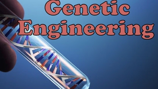 Genetic Engineering [upl. by Bord]