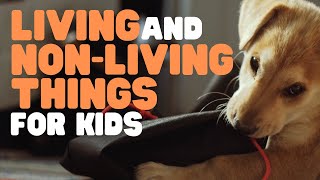 Living and Nonliving Things for Kids  Learn why some things are alive and others are not [upl. by Elyac]