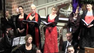 Vivaldi  Dixit Dominus RV 595  Copenhagen Soloists J Ofir [upl. by Clements48]