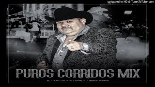 El Coyote Y Su Banda Tierra Santa  Puros Corridos 2017 [upl. by Salzhauer586]