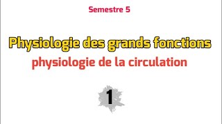 Physiologie circulatoire partie 1  Physiologie des grandes fonctions [upl. by Eidroj539]