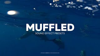 Muffled Sound Effect Premiere Pro Presets [upl. by Truman]