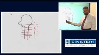 Introducing MRI Time of Flight Effects and MRA 43 of 56 [upl. by Assirroc443]