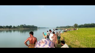 Sea Fish  Animal vlogs BD [upl. by Pelpel]