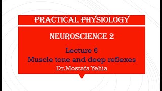 Practical physiology of Neuroscience 2 lecture 6  Muscle tone and Deep reflexes DrMostafa Yehia [upl. by Aehcsrop895]