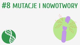 Mutacje i nowotwory 8  Genetyka [upl. by Alvy]