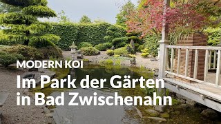 Ein Japangarten mit Koiteich im Park der Gärten  Modern Koi Blog 6869 [upl. by Giddings]