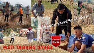 जे चाहिन्छ त्यसैले सताउँदा कति पीडा होला।।झरि VS कृषक।।FARMERS TRADEGYfarmerlifevideovillage🇳🇵 [upl. by Ahsiener738]