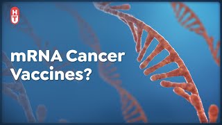 Can mRNA Vaccines Work for Cancer [upl. by Nelda]