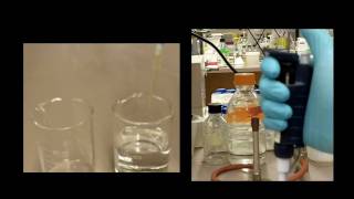 How to Use a Pipette [upl. by Onairelav]