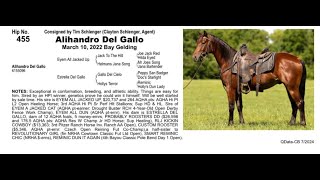 Pitzer Ranch Fall Sale 2024 Lot 455 ALIHANDRO DEL GALLO [upl. by Dnalwor]