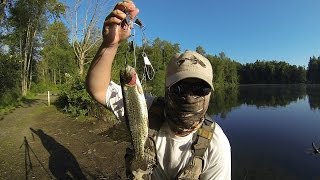 How to Catch Hatchery Trout in Your Local Pond [upl. by Florio]