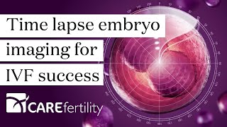 Time lapse embryo imaging for IVF success  CaremapsAI®  Care Fertility [upl. by Ecyor]