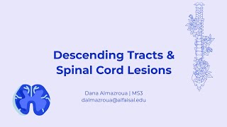 Descending Tracts amp Spinal Cord Lesions  Dana Almazroua  NEU 241 PAL review session [upl. by Alta592]