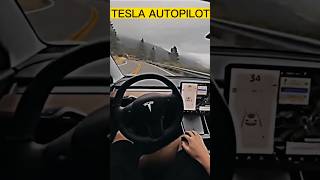 Tesla Vs XUV700 Autopilot Mode Comparison tesla xuv700 youtube shorts [upl. by Danziger]