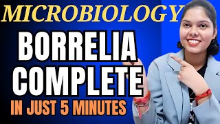 Borrelia Microbiology Lyme disease Morphology Pathogenesis Signs Diagnosis Treatment [upl. by Griffy]