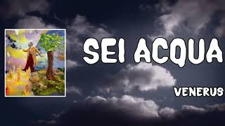 Sei acqua Lyrics  Venerus [upl. by Roselani]