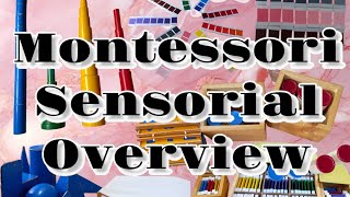 What is the Montessori Method of Teaching  ECE Class  Education  Learning [upl. by Grim]