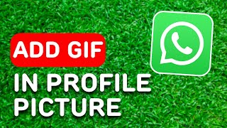 How to Add Gif in Whatsapp Profile Picture 2024  Full Guide [upl. by Stent]