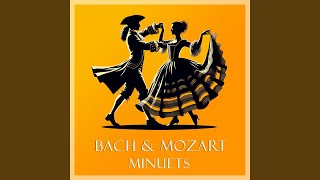 JS Bach Minuet in G Major BWV Anh 114 [upl. by Mcconaghy685]