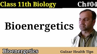 Bioenergetics class 11 biology [upl. by Suravaj]