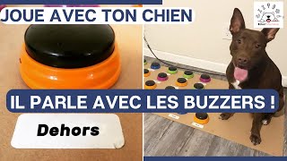 TUTO Apprendre à mon chien à PARLER  Langage Buzzer pour chien  Jouer avec mon chien [upl. by Anivas]