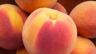 Healthy Smoothie Recipes  Peach and Ginger Smoothie [upl. by Litton]