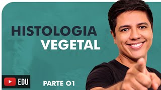 HISTOLOGIA VEGETAL PARTE 01  BOTÂNICA  Prof Kennedy Ramos [upl. by Annor]