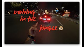 Driving in the jungle  episode 5 [upl. by Brigitte]