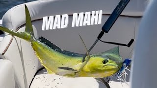 23 Mile Rock Mahi Off of Wrightsville Beach NC [upl. by Oicelem859]