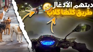 خرجة مور الفطور  ديتهم تحت القنطرة ف الظلام [upl. by Omer]