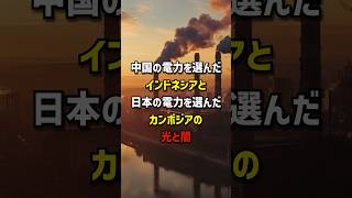 中国の電力を選んだインドネシアと日本の電力を選んだカンボジアの光と闇 海外の反応 日本 中国 [upl. by Nylahs]